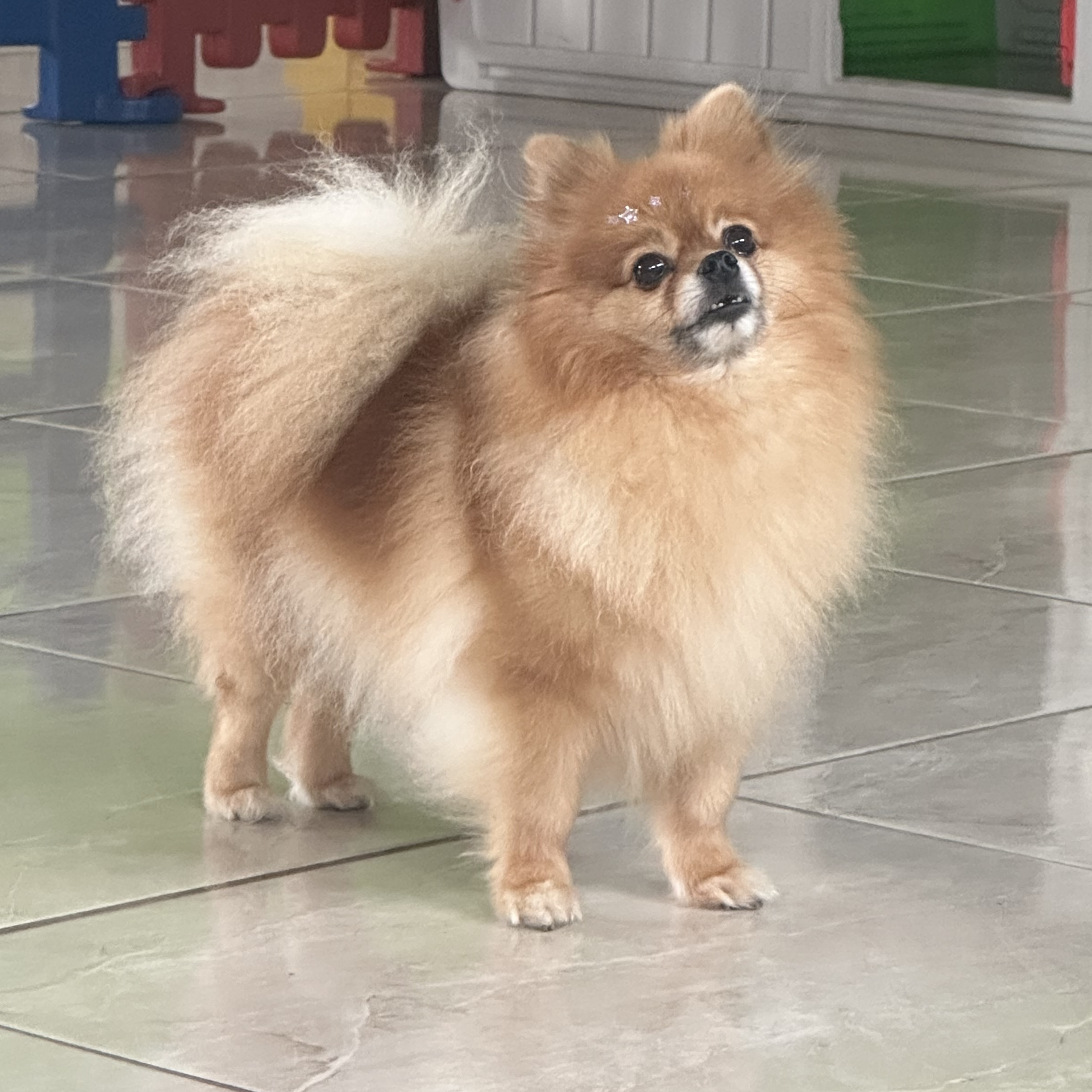 Guma Lulu Lurdinha  Maria de Lurdes 