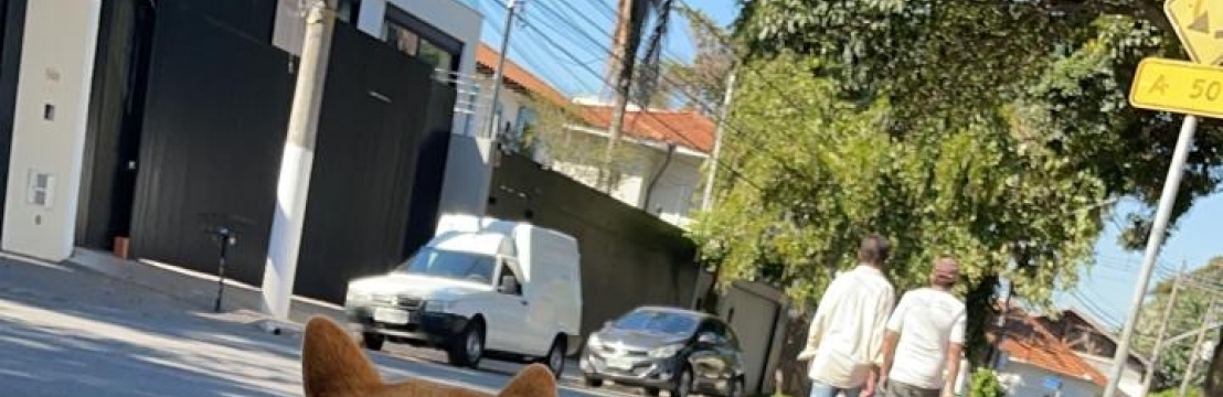 Bhaga - Zé e Bruna 
