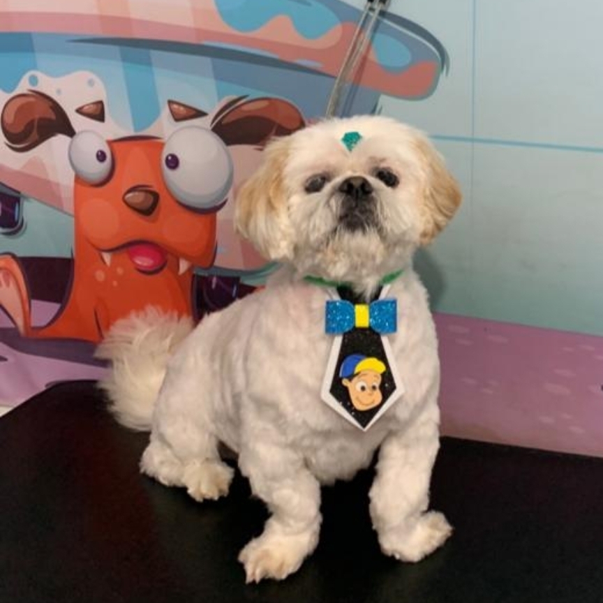 Snoopy  Evelyn Macedo