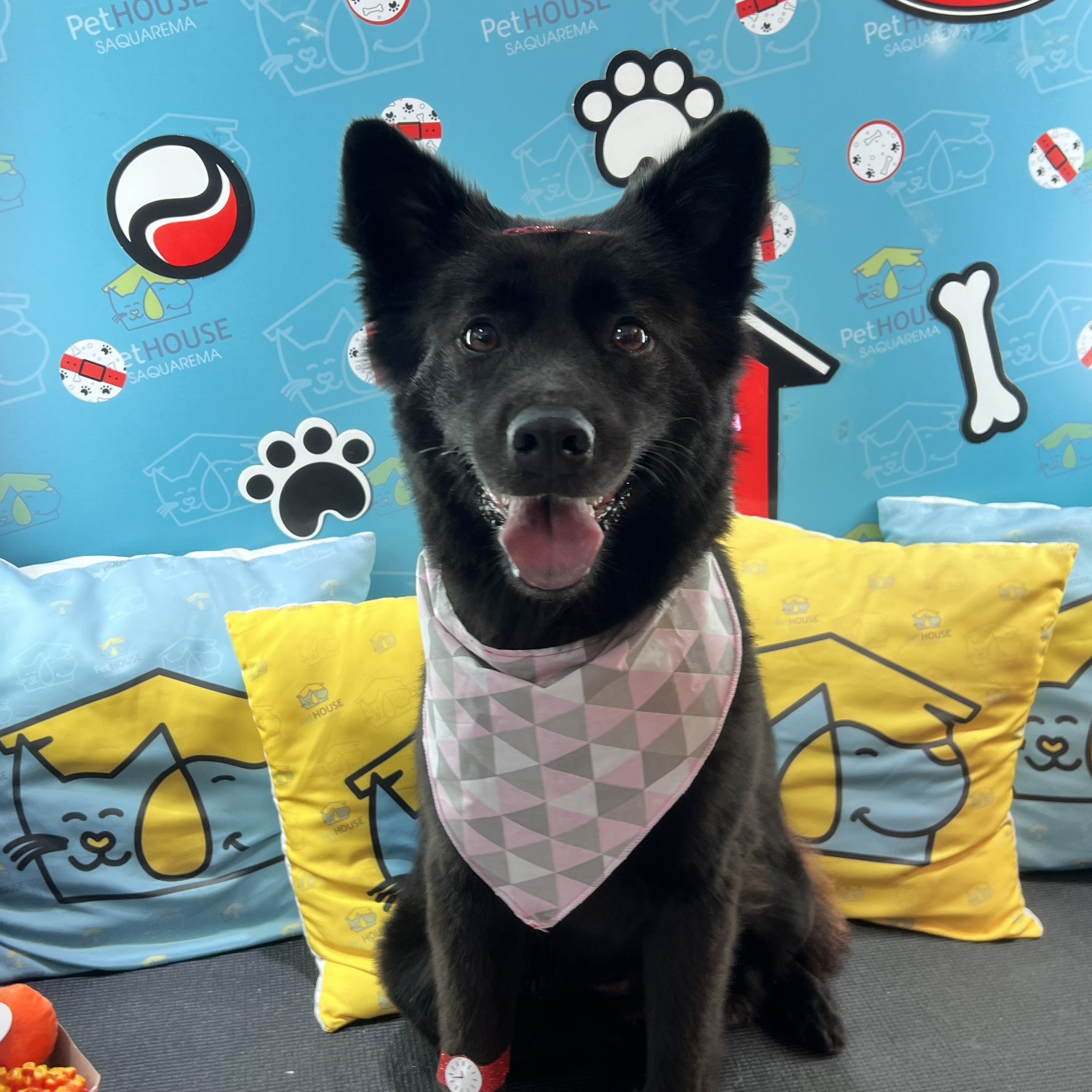 Arya Frutuoso Vanessa Frutuoso
