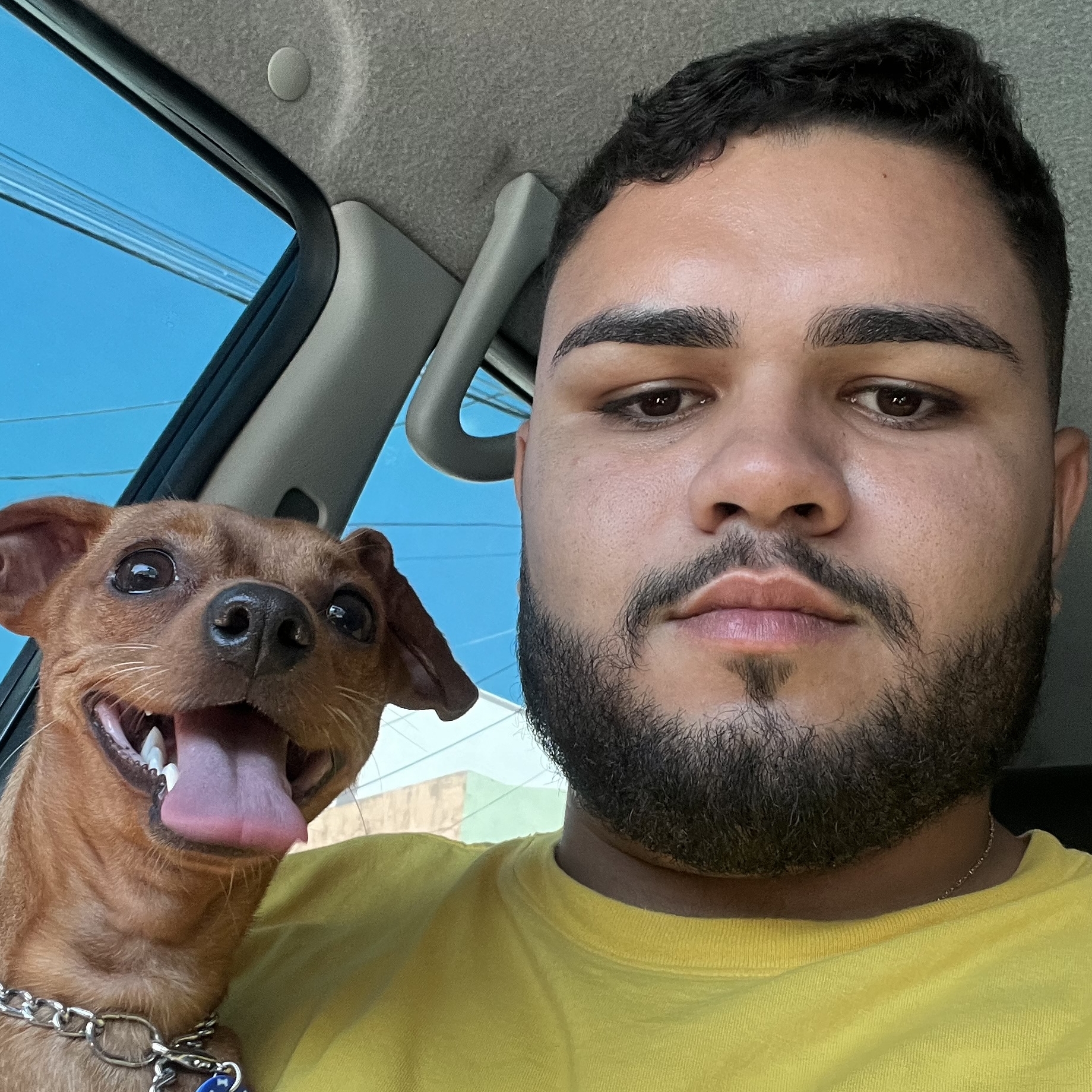 Scooby Gustavo pereira 