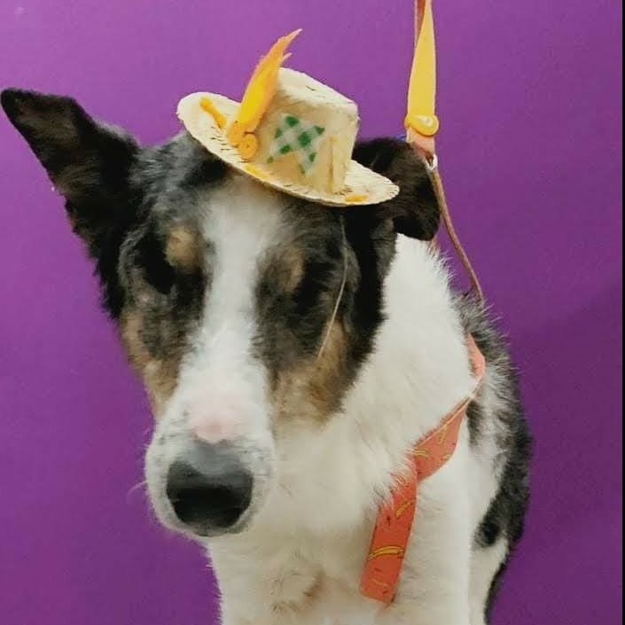 Duke  Geórgia Edieli de Almeida da Silva 
