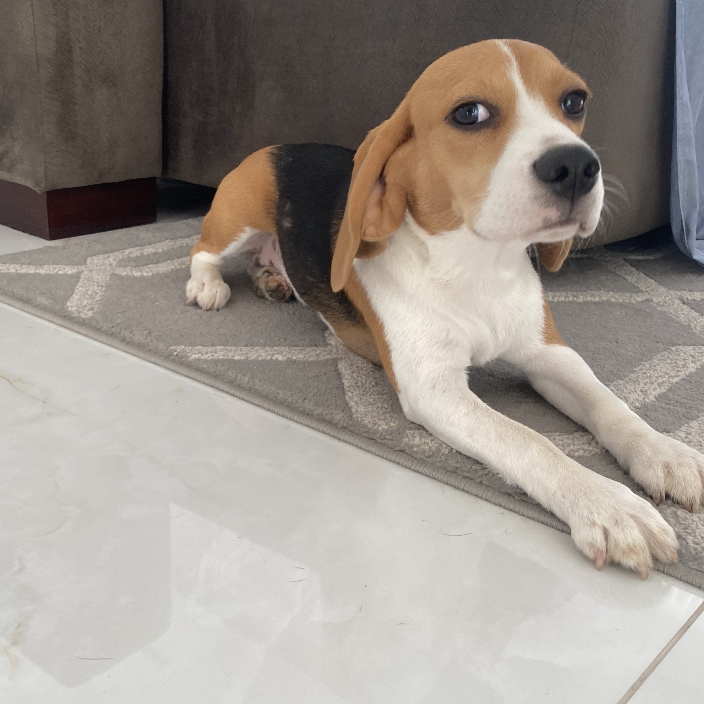 -Luna Daniel Bianchin da Silva Gomes / Ramoni Rosa Pereira 