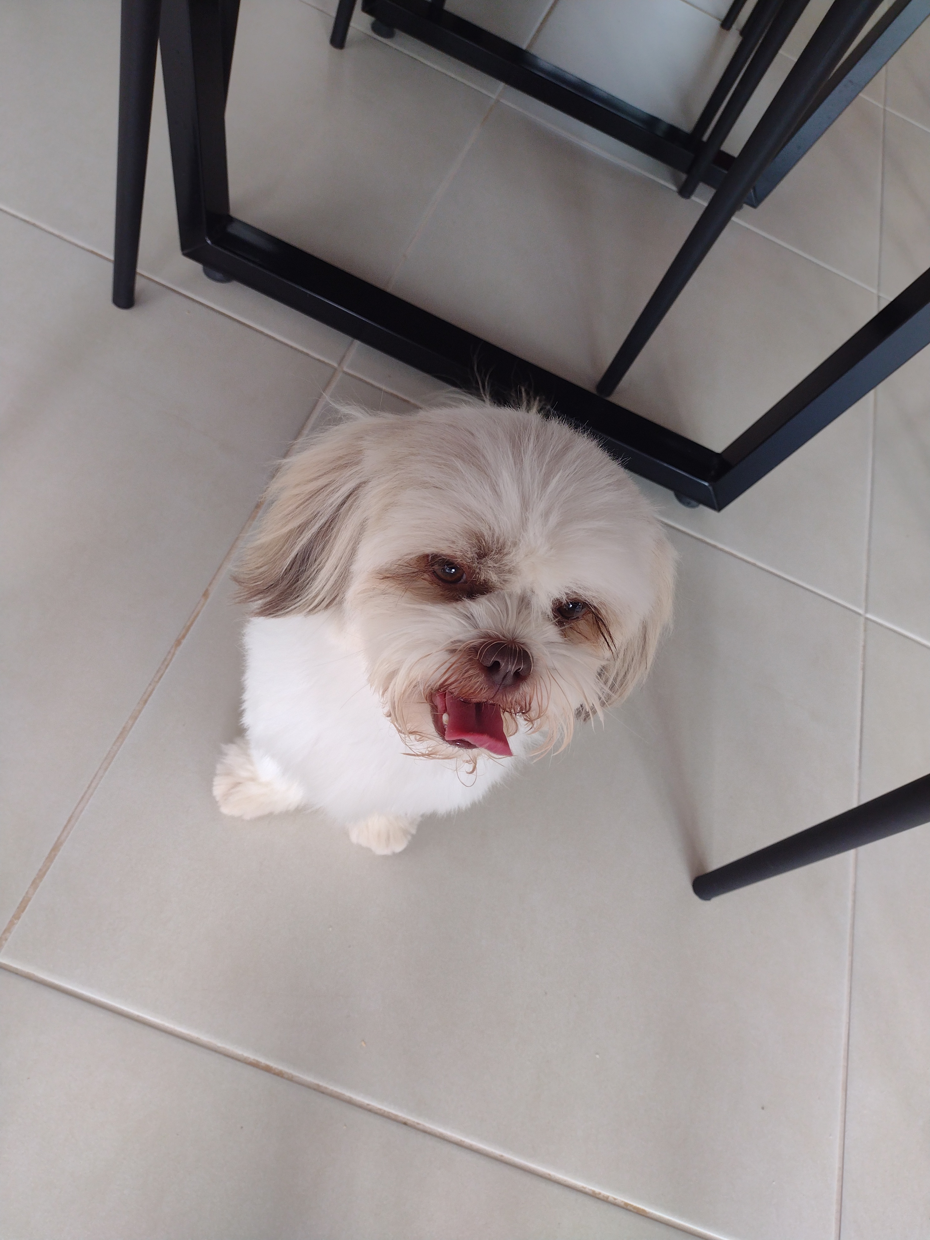 Amora Mary Martins