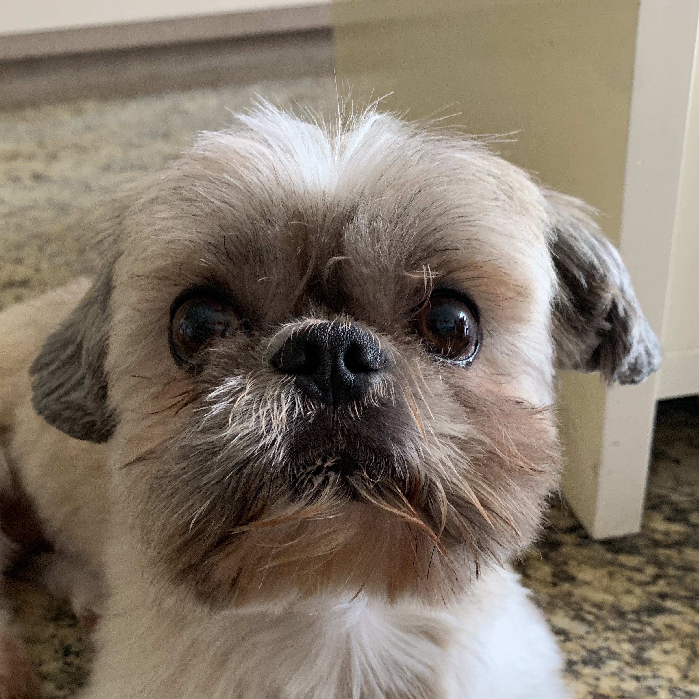 Myke V&acirc;nia Nunes e Larissa Almeida