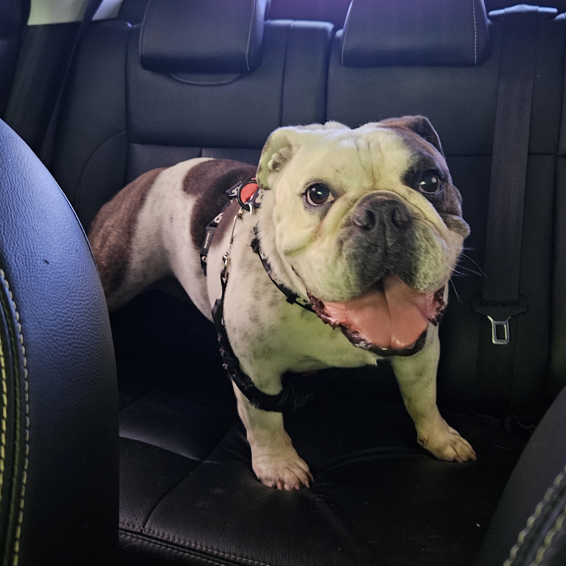 Omma Regina Paulo Otavio