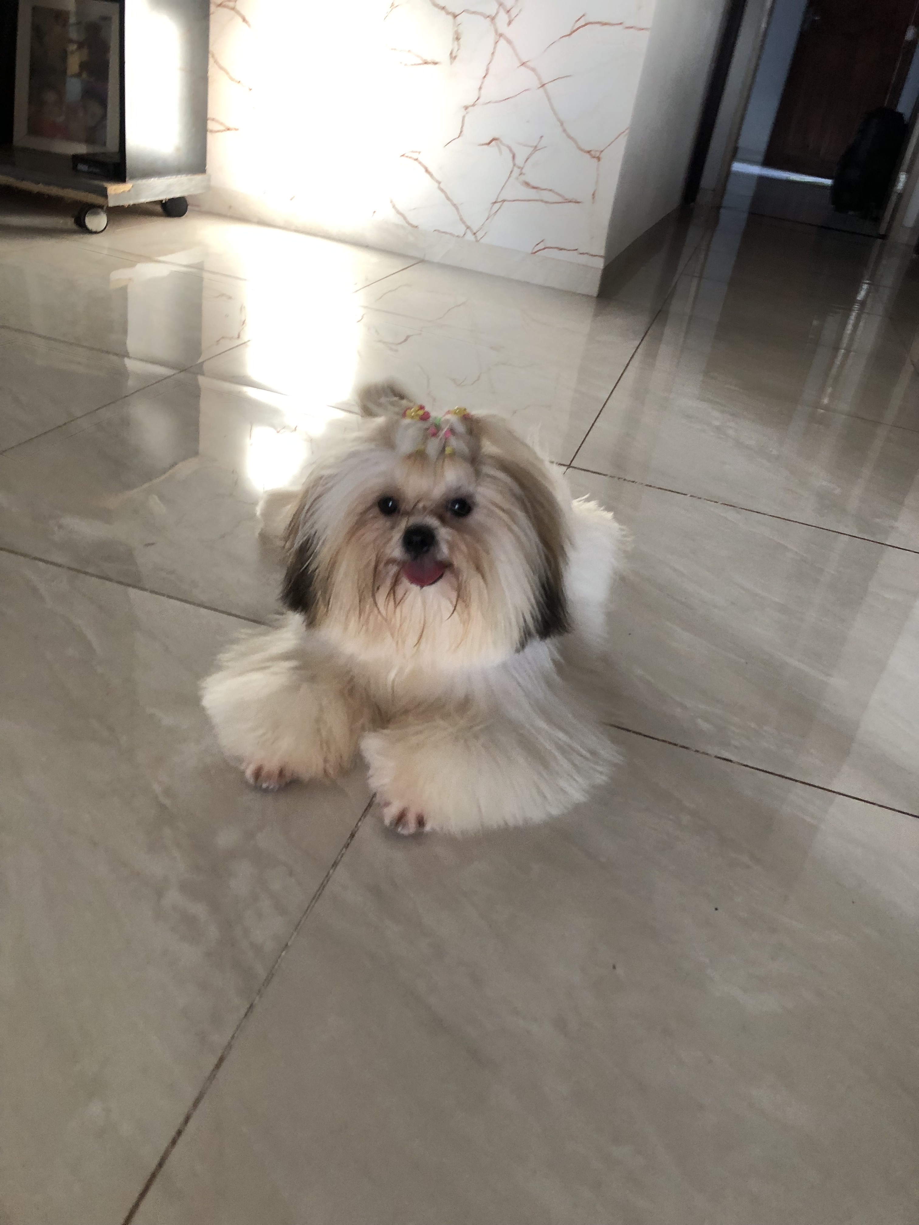 Maya Andrade Teixeira  Geovanna Andrade 