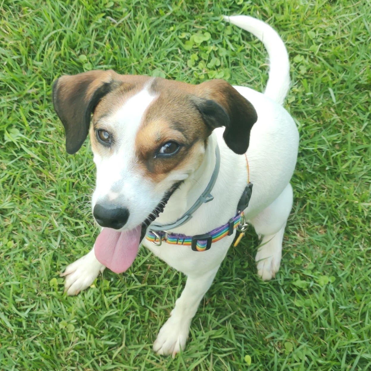 L&eacute;ia Renan/Jordhana