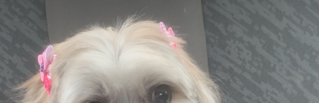 Cacau da cruz Lopes Gabrieli da cruz klamovski 