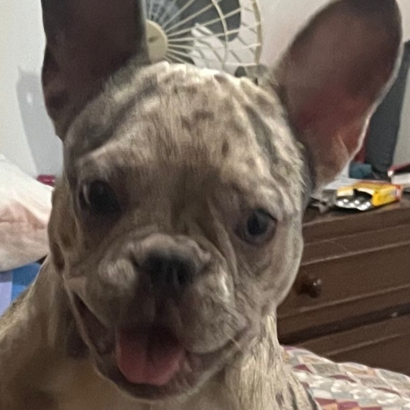 Emmy Fernando 