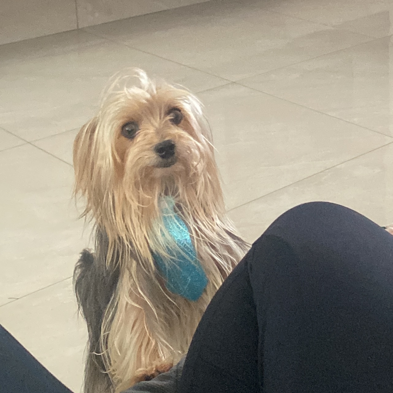 -Bob Heloísa Chicarelli 