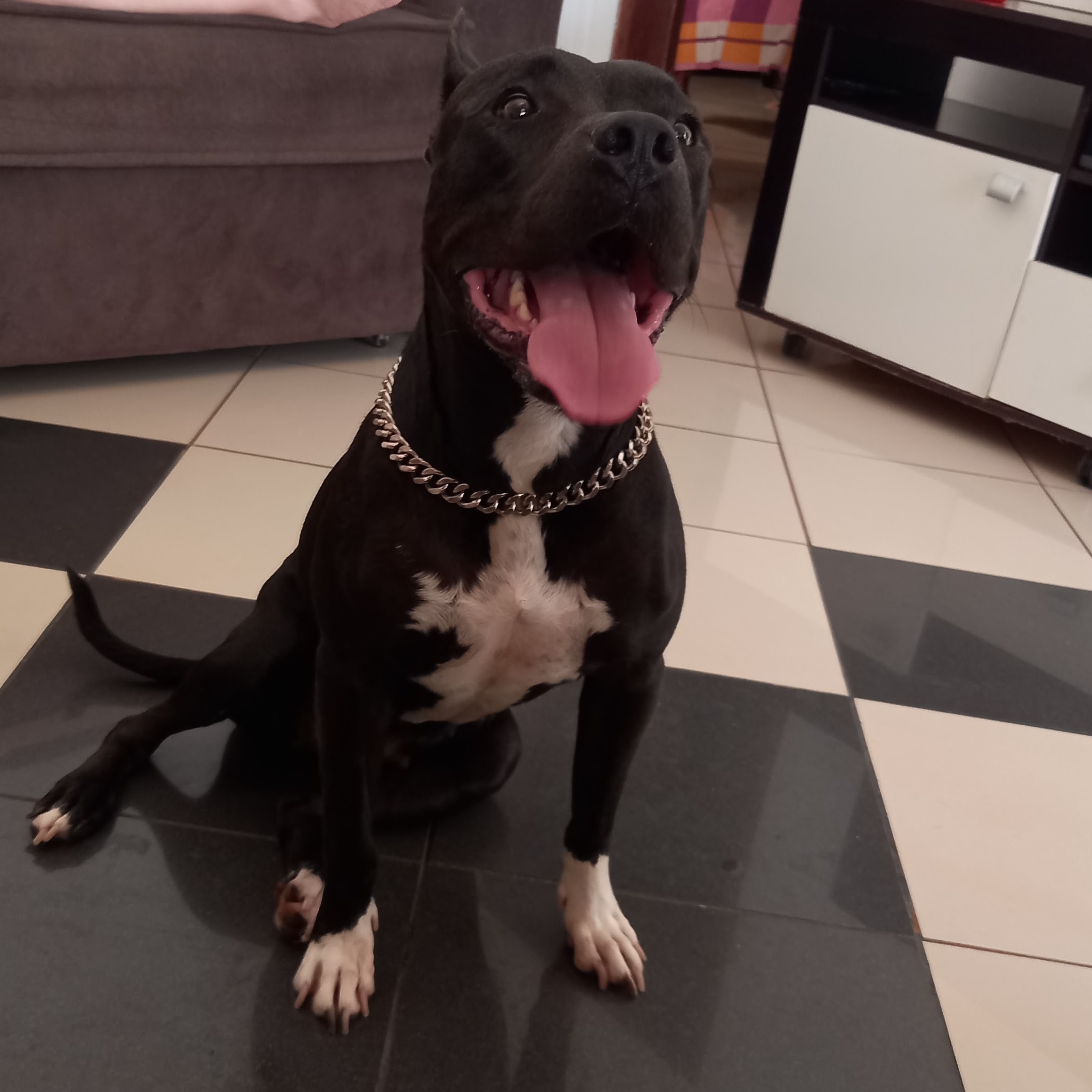 Alerquina Bruna Santos 
