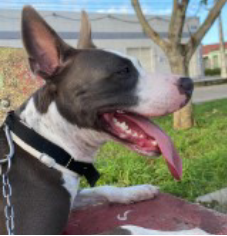 NAIROBE  JOSIENE XAVIER DOS SANTOS 