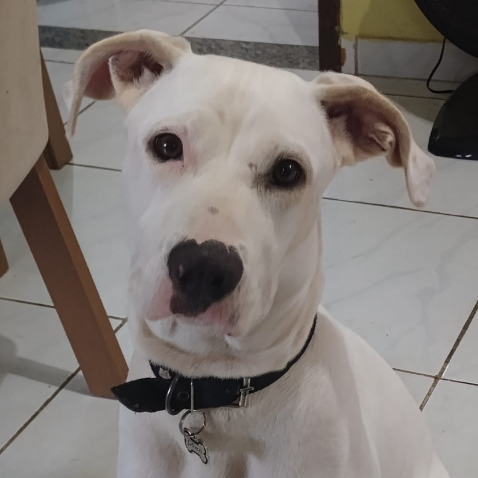 -Theo Flávia e Drielly 