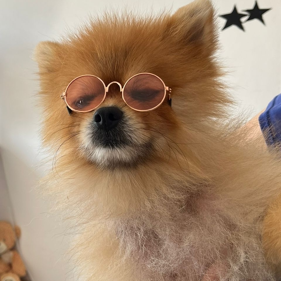 Leonardo Di Caprio Mariano Pereira Lilian