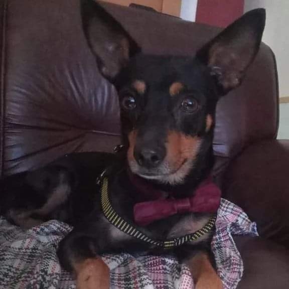 -Madruguinha Tauana e Carlos