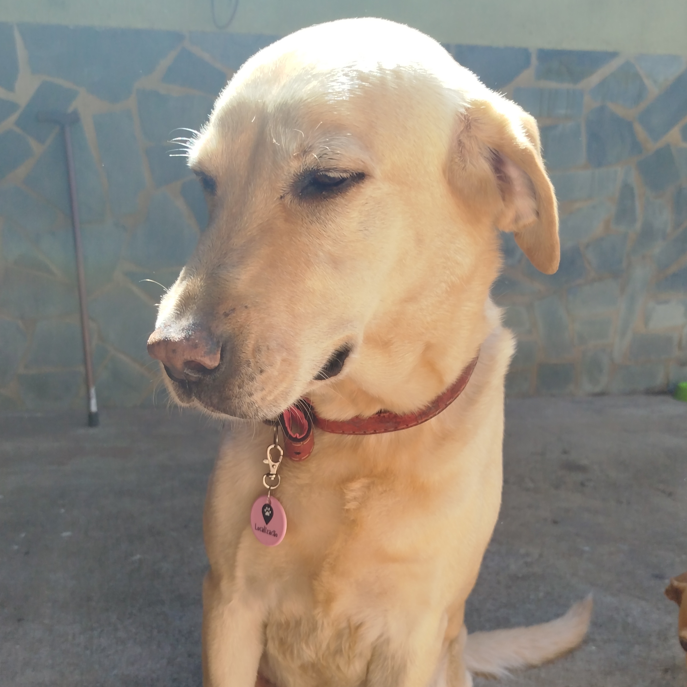 Lola Karla Assis