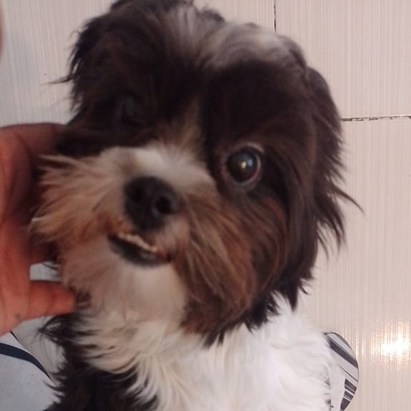 -Theodor Ricardo e Nazaré 