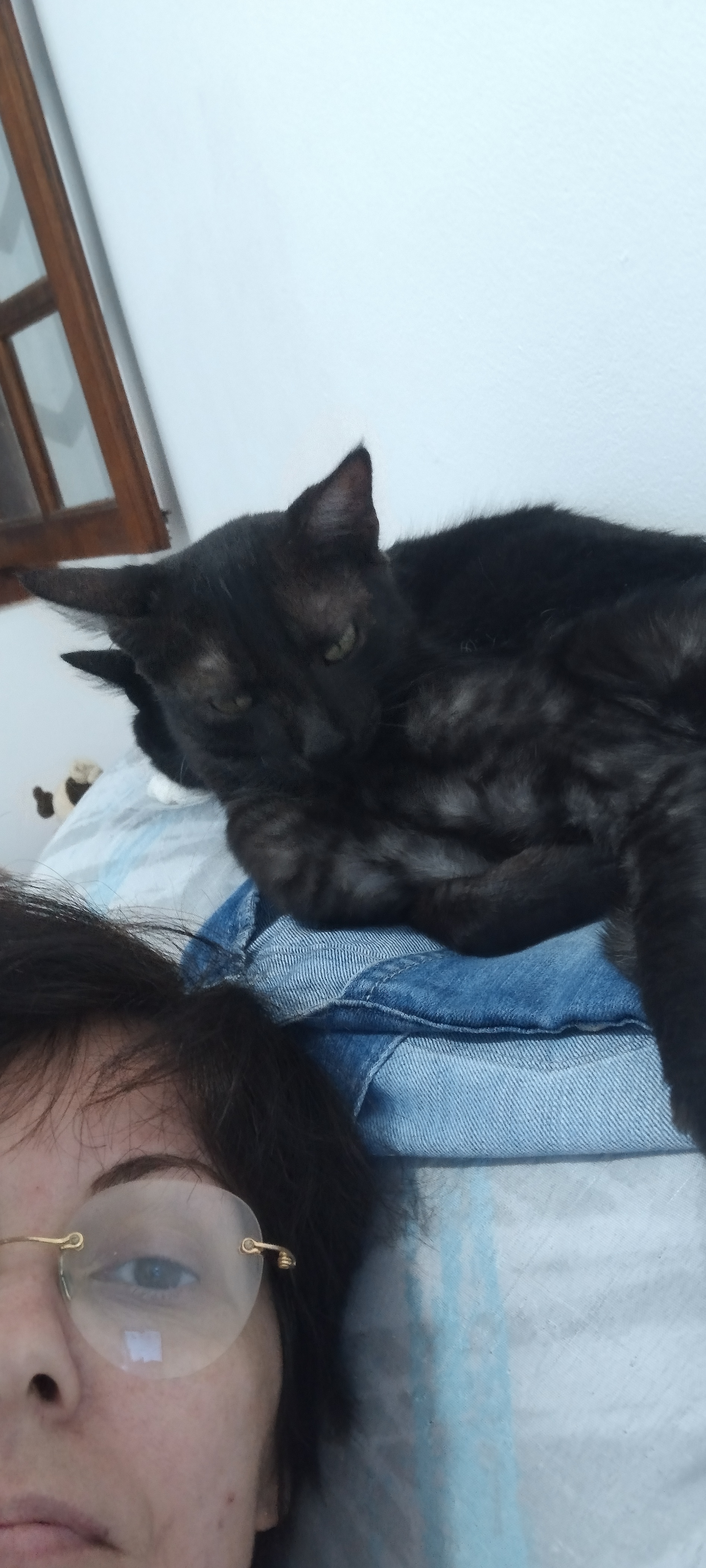 Ravena Patrícia Vilas Boas 