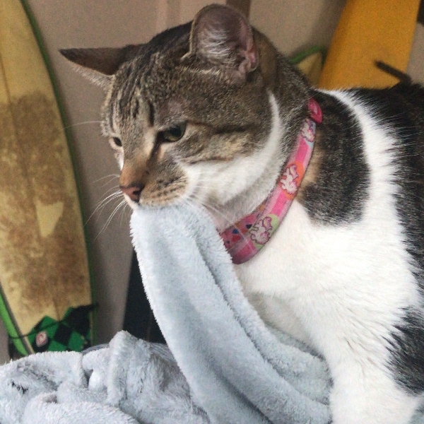 Maria In&ecirc;s  Yuri Costa