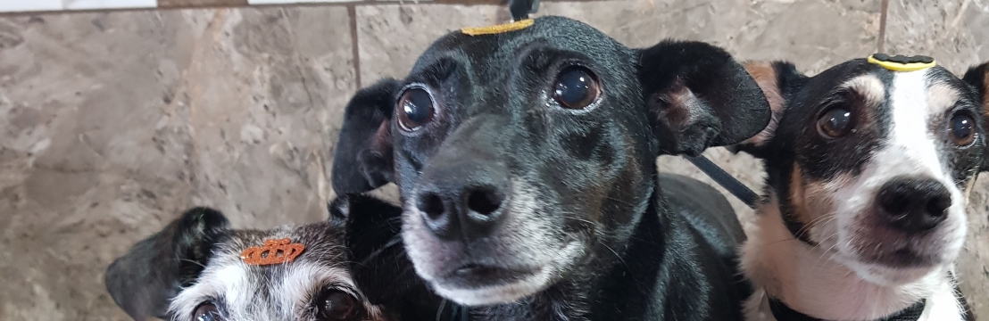 Pret&uacute;nia (preta)Raphaella Santos