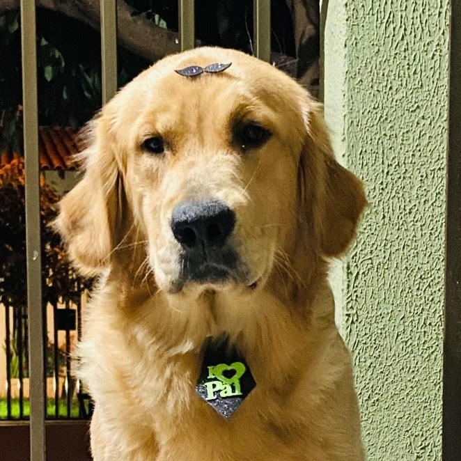 -Thor Ana Carolina Mendonça