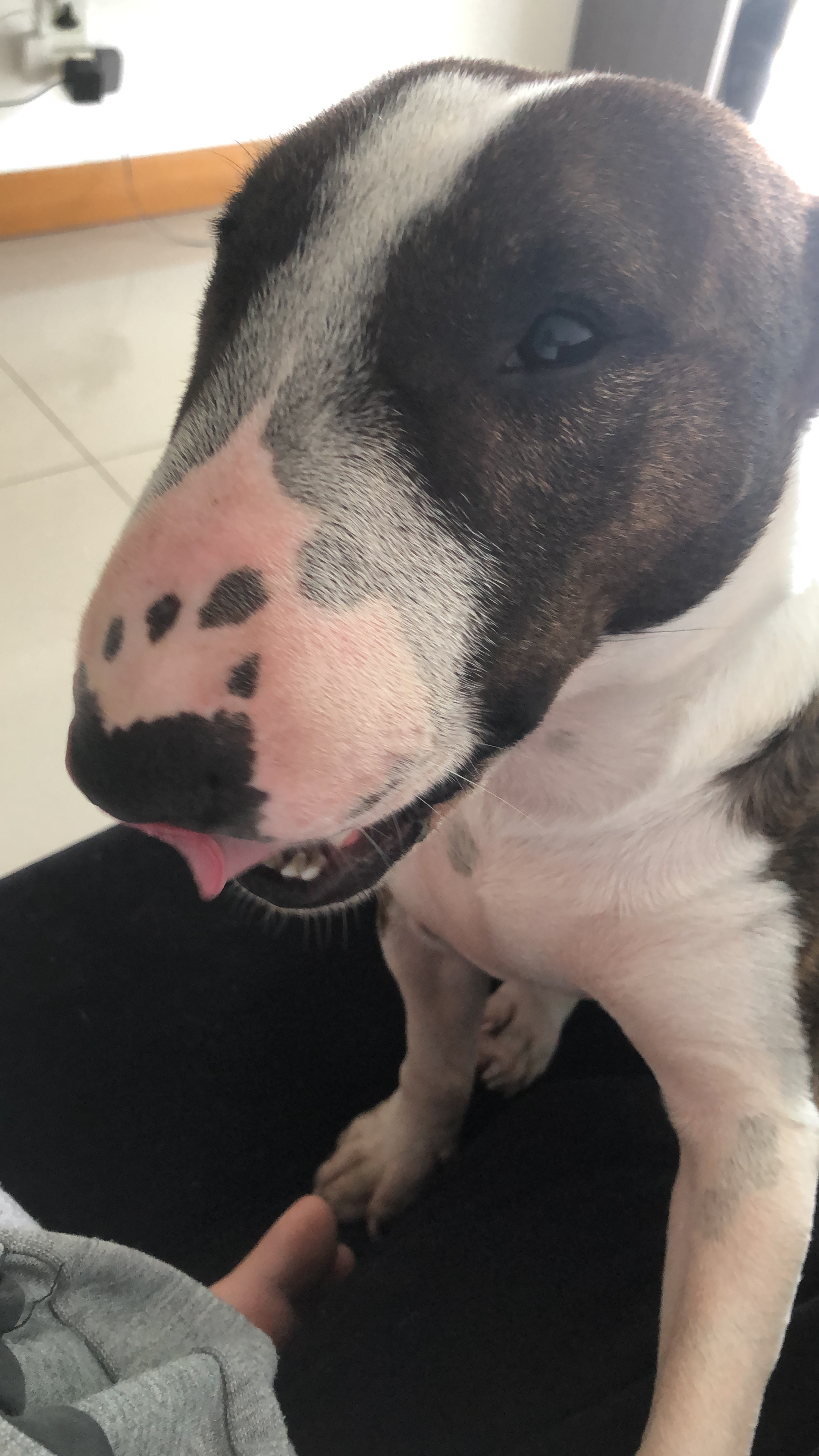 Kaira Nath&aacute;lia e Mateus