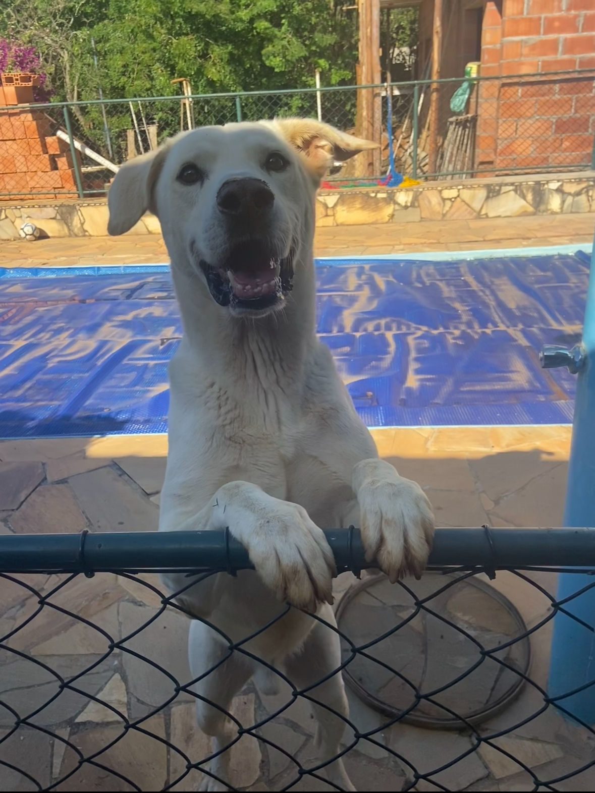 Greg Gisele Cristina 