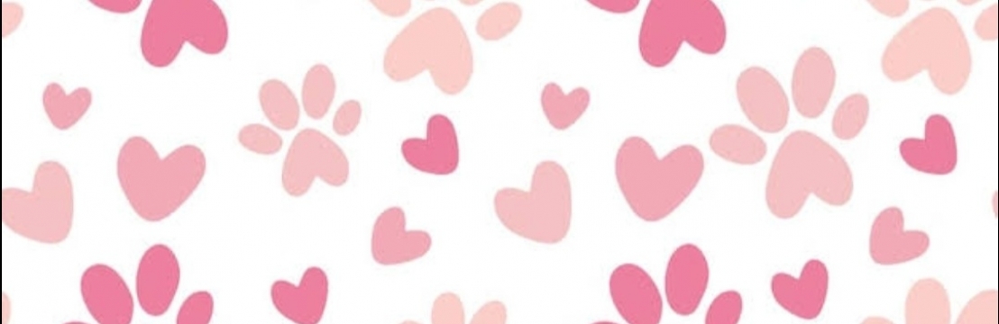 Amora Novais Sartori D'TrevisoPriscila Novais dos Reis 