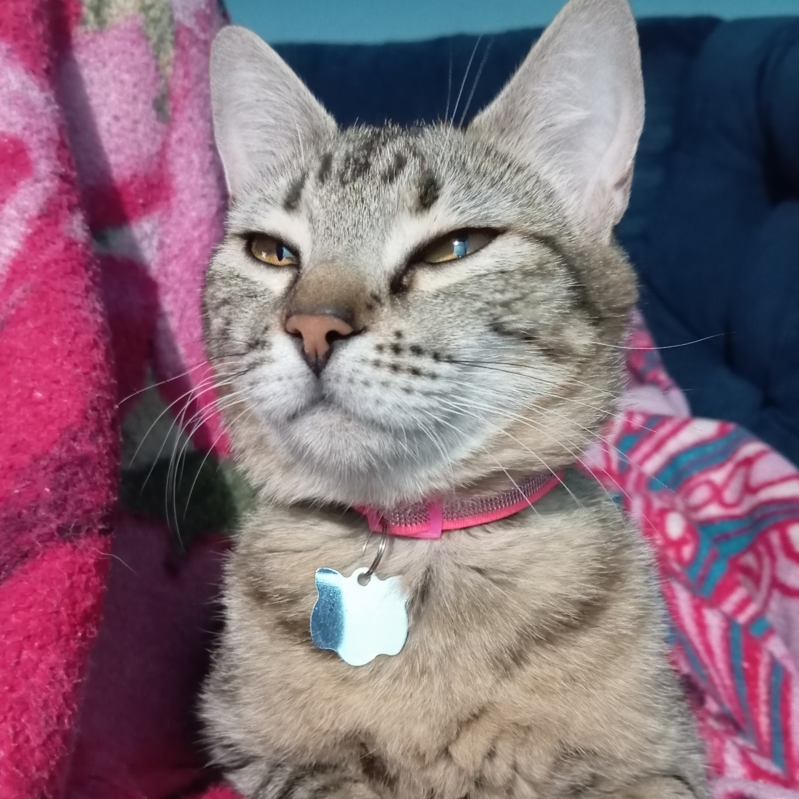 -Menina Jacke dos santos