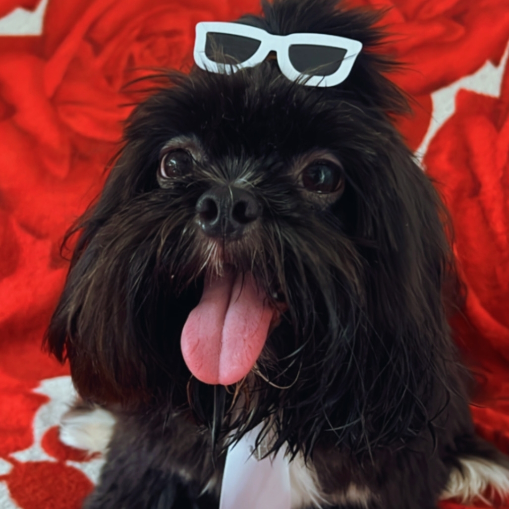 Marley  Gabriele Guimar&atilde;es 