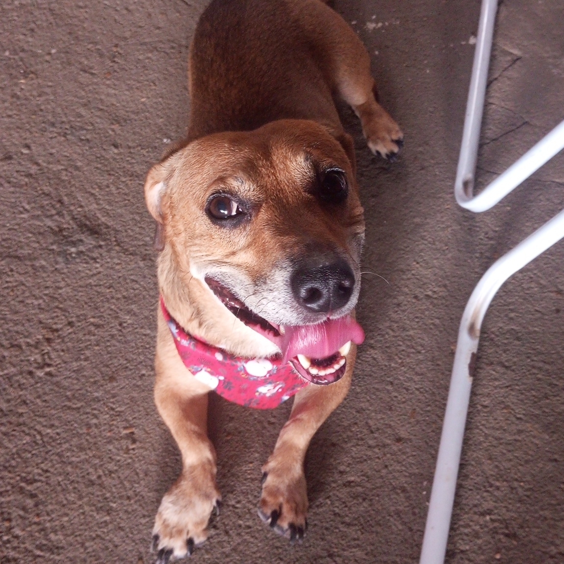 Naruto Uzumaki Epaminondas Carvalho  Alexandra Epaminondas Carvalho 