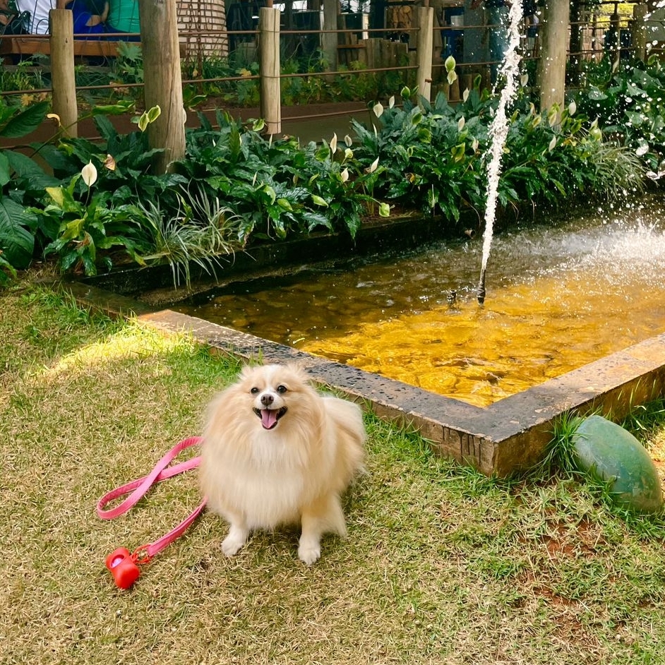 Layla Etiane Vasconcelos Marins