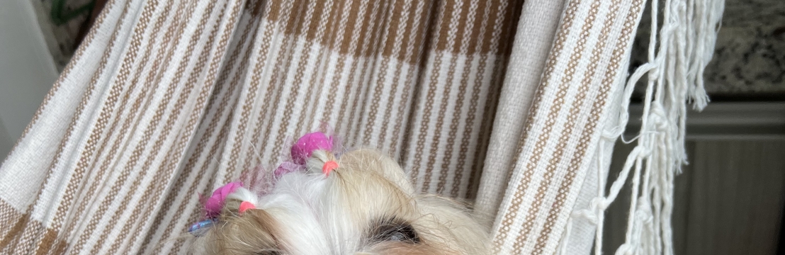 MelSabrina Lunara e Wilker Mesquita