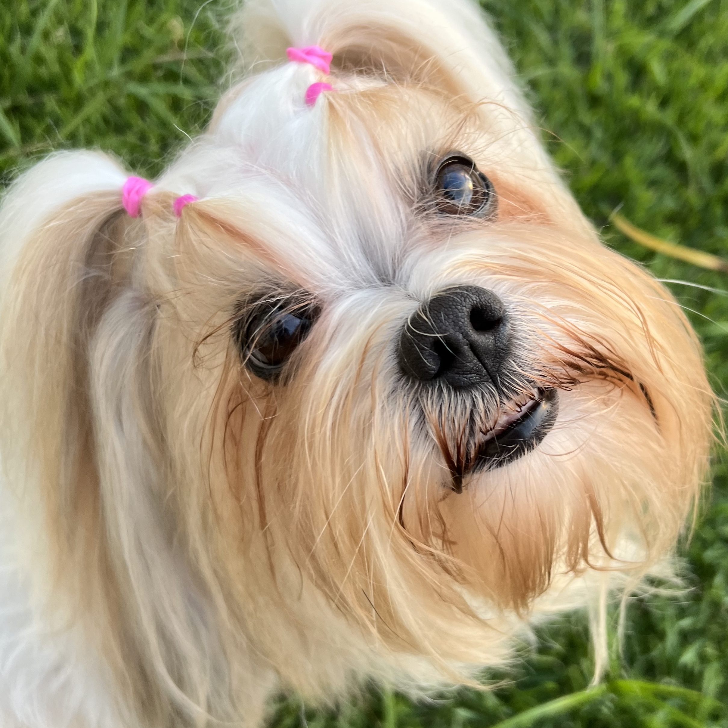 Mel Sabrina Lunara e Wilker Mesquita