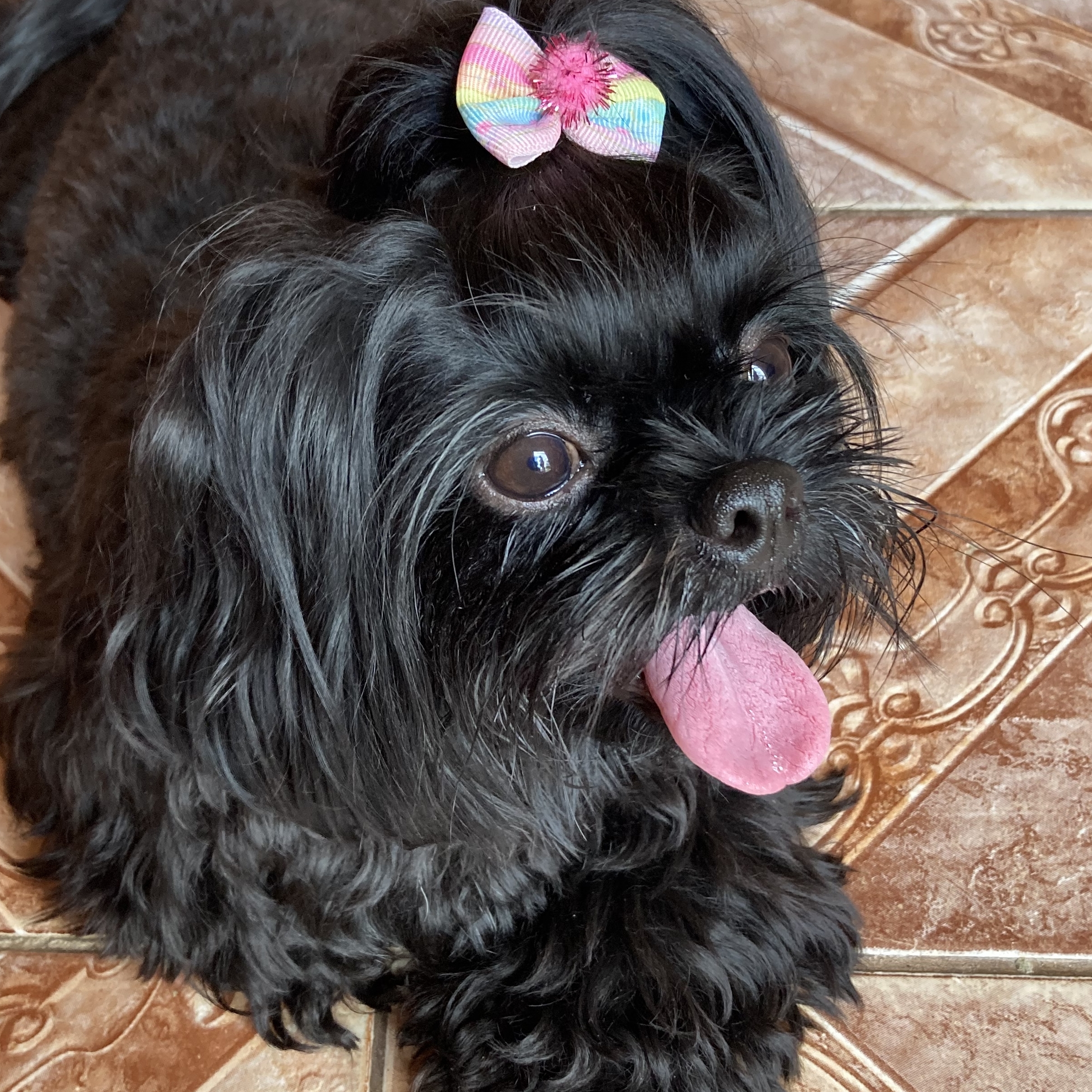 LUNA Anna Cristina Pereira de oliveira Afonso 