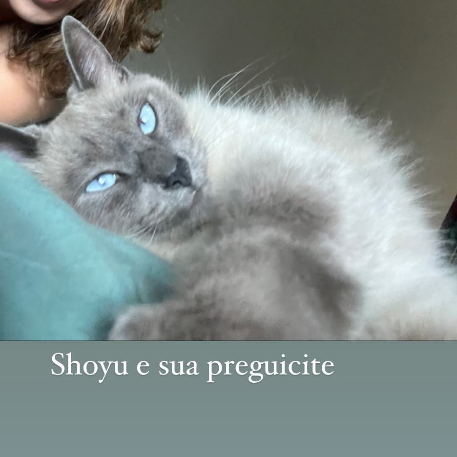 Shoyu Paula