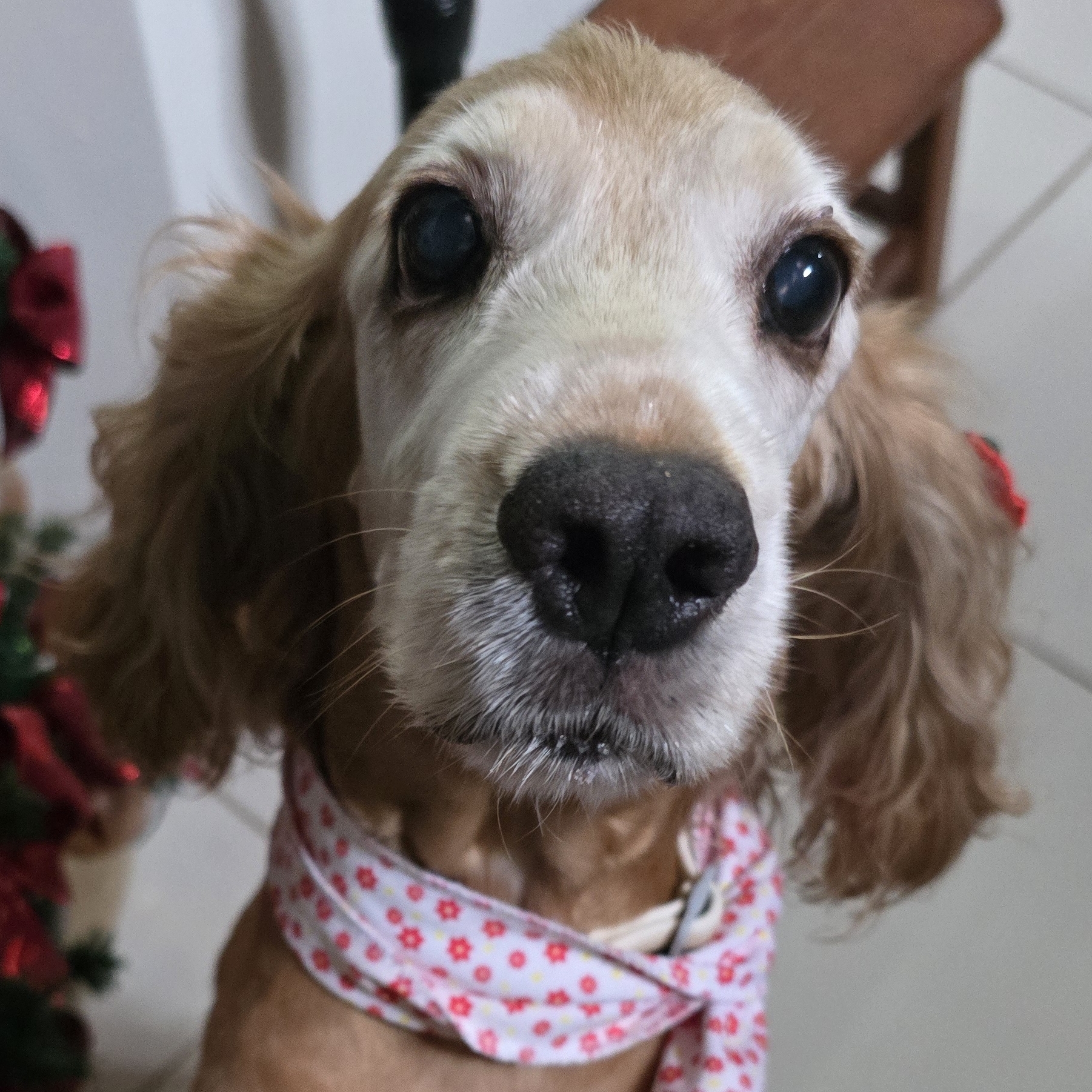 Maria Eduarda (Duda) Ana Paula 