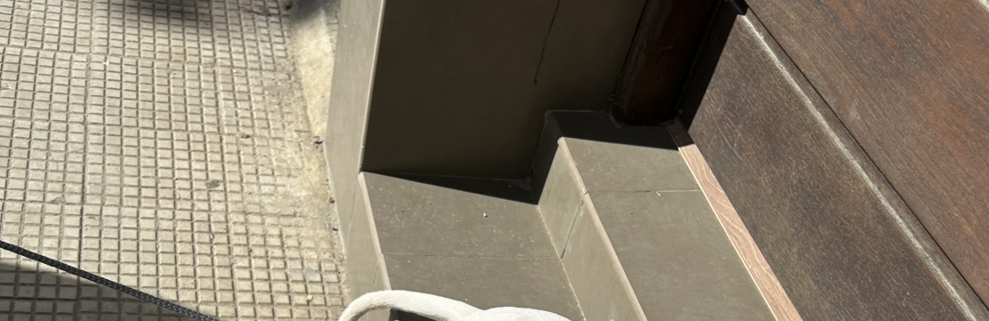 -ThorffinJessica Artin