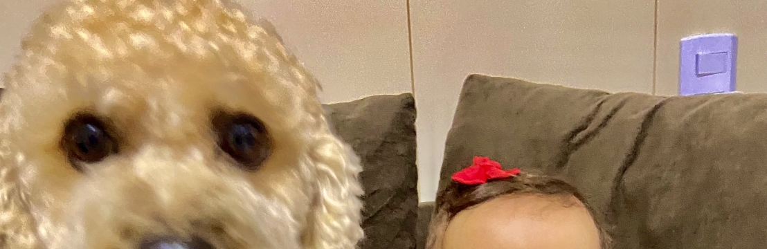 Nina Yane Galvão Lara Yane Gomes Lima