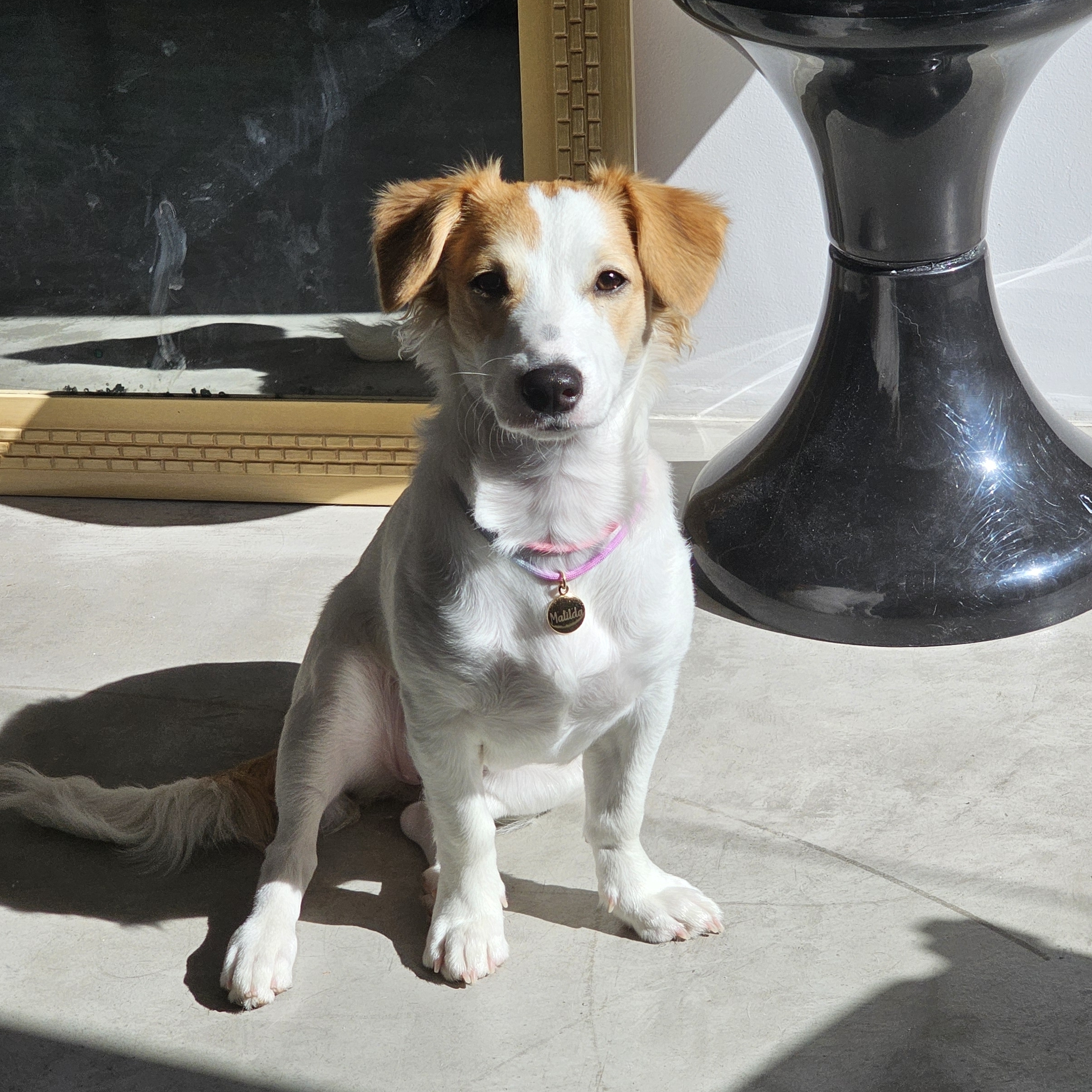 Matilda Xavier Leticia Pacheco Xavier