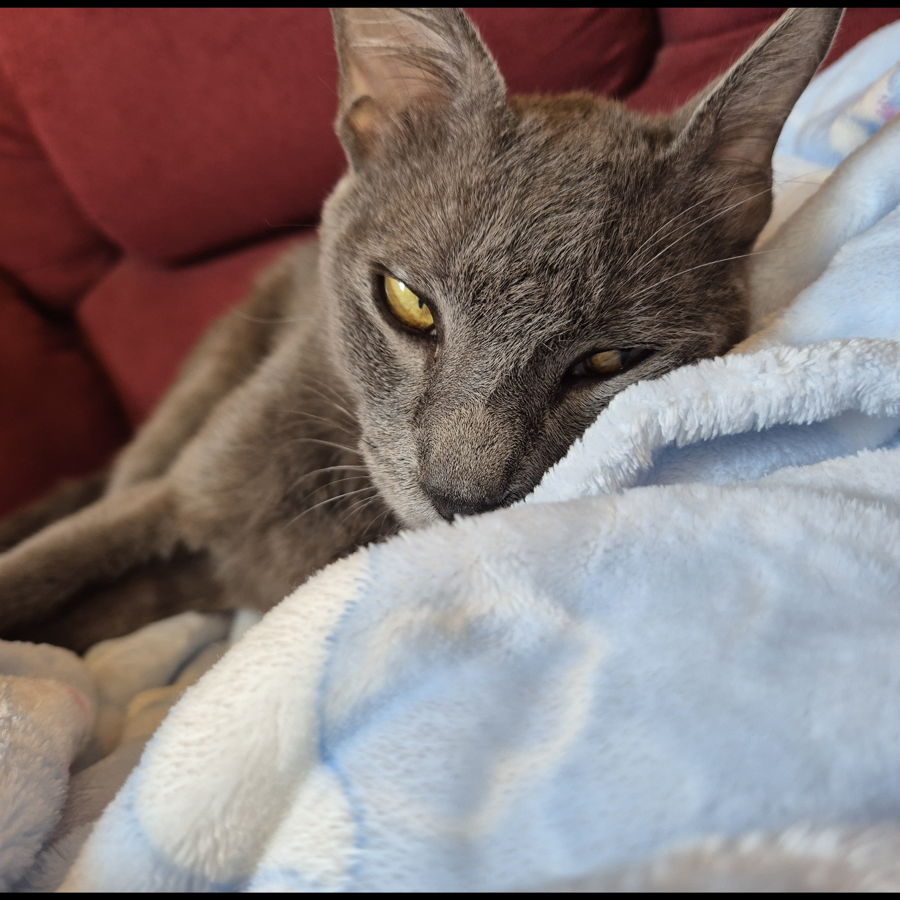 Nevasca Gleisla P. Silva