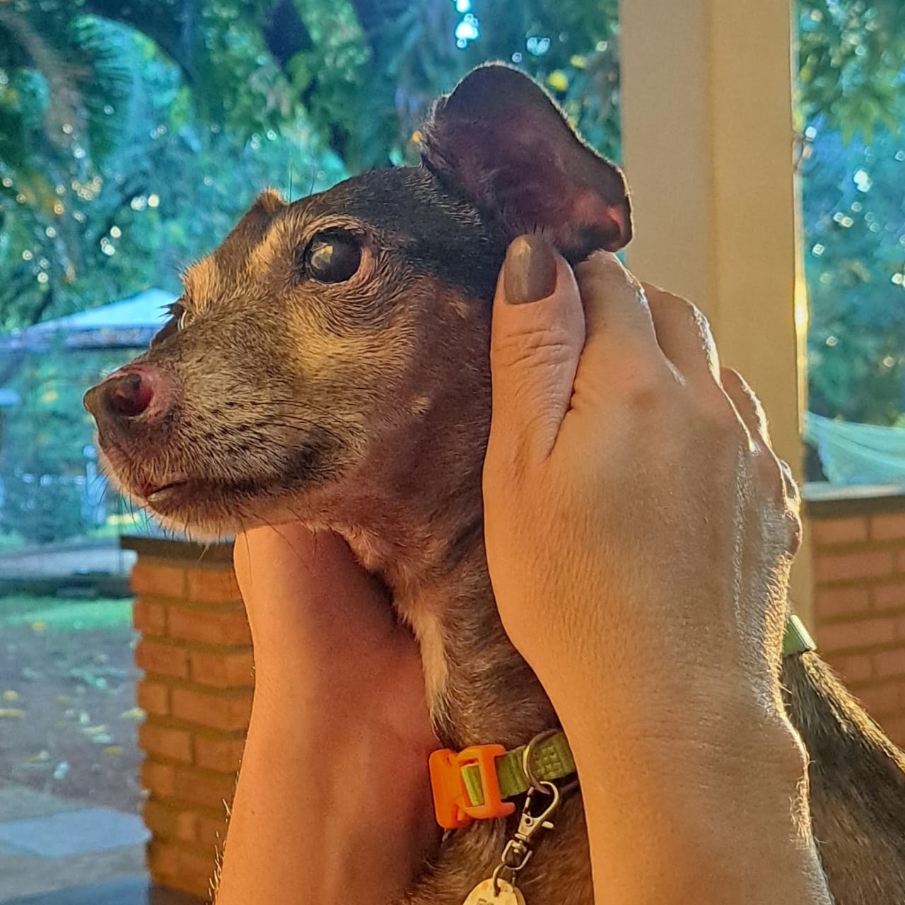 Lila Si Soeiro