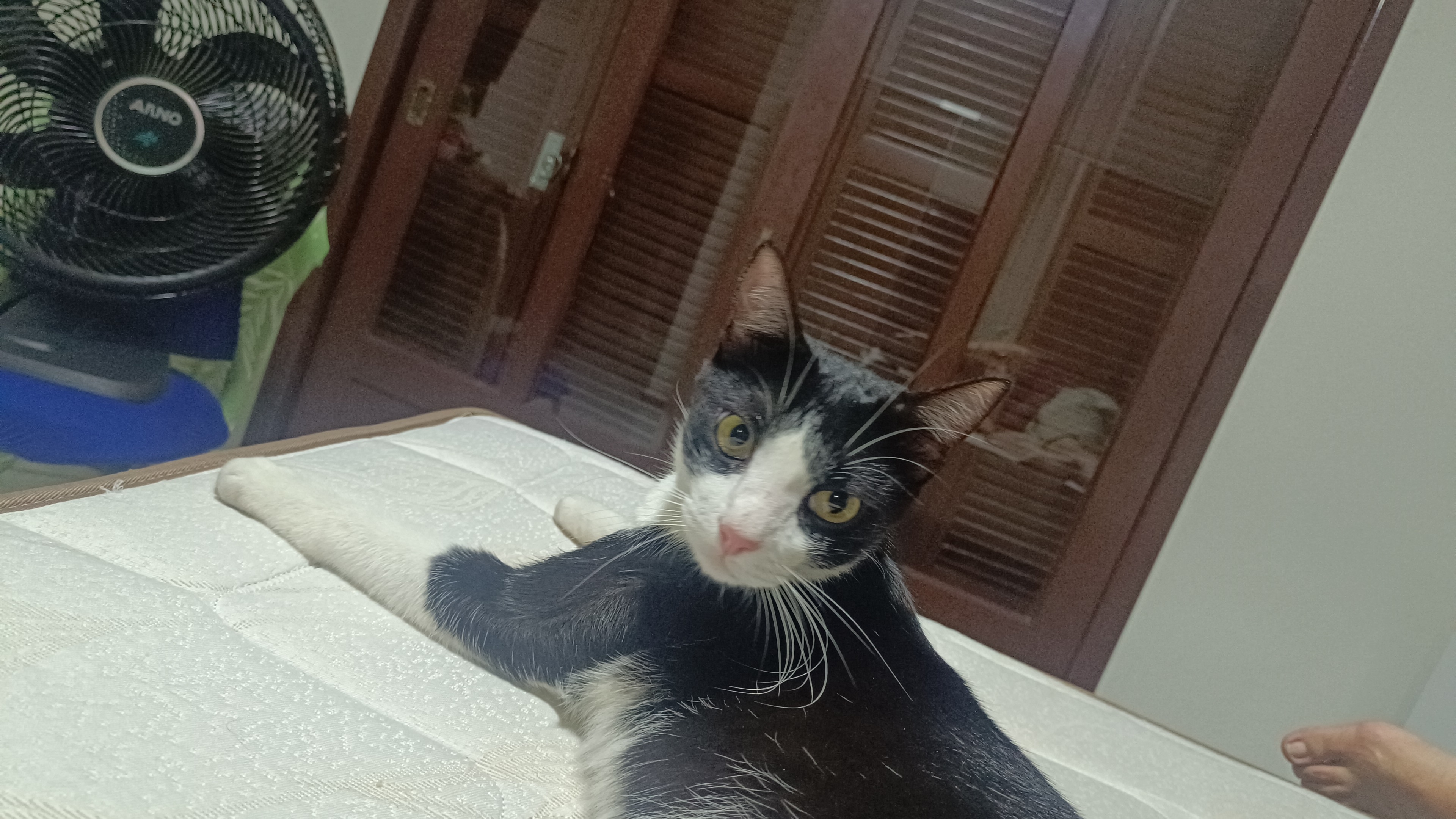 Mike  Ludmila Correa