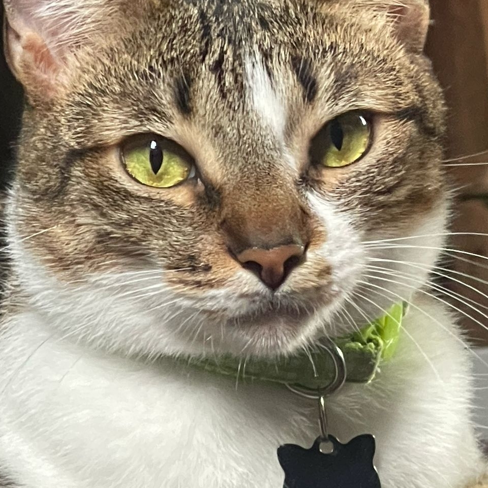 Jade Maria  Mario de Oliveira Rocha Neto e L&iacute;via Senoni Splendore