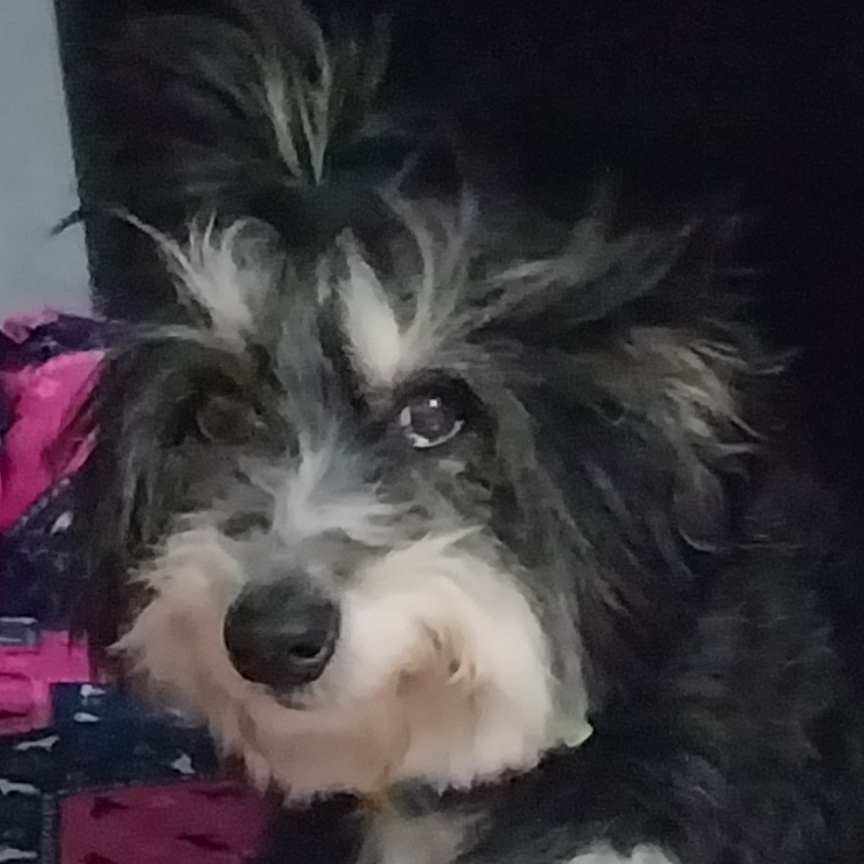 Lady Lelê  Lidineide Aparecida Bueno 