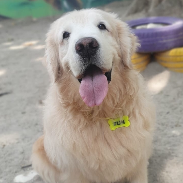 -Fun Poncione  Evelyn Poncione 