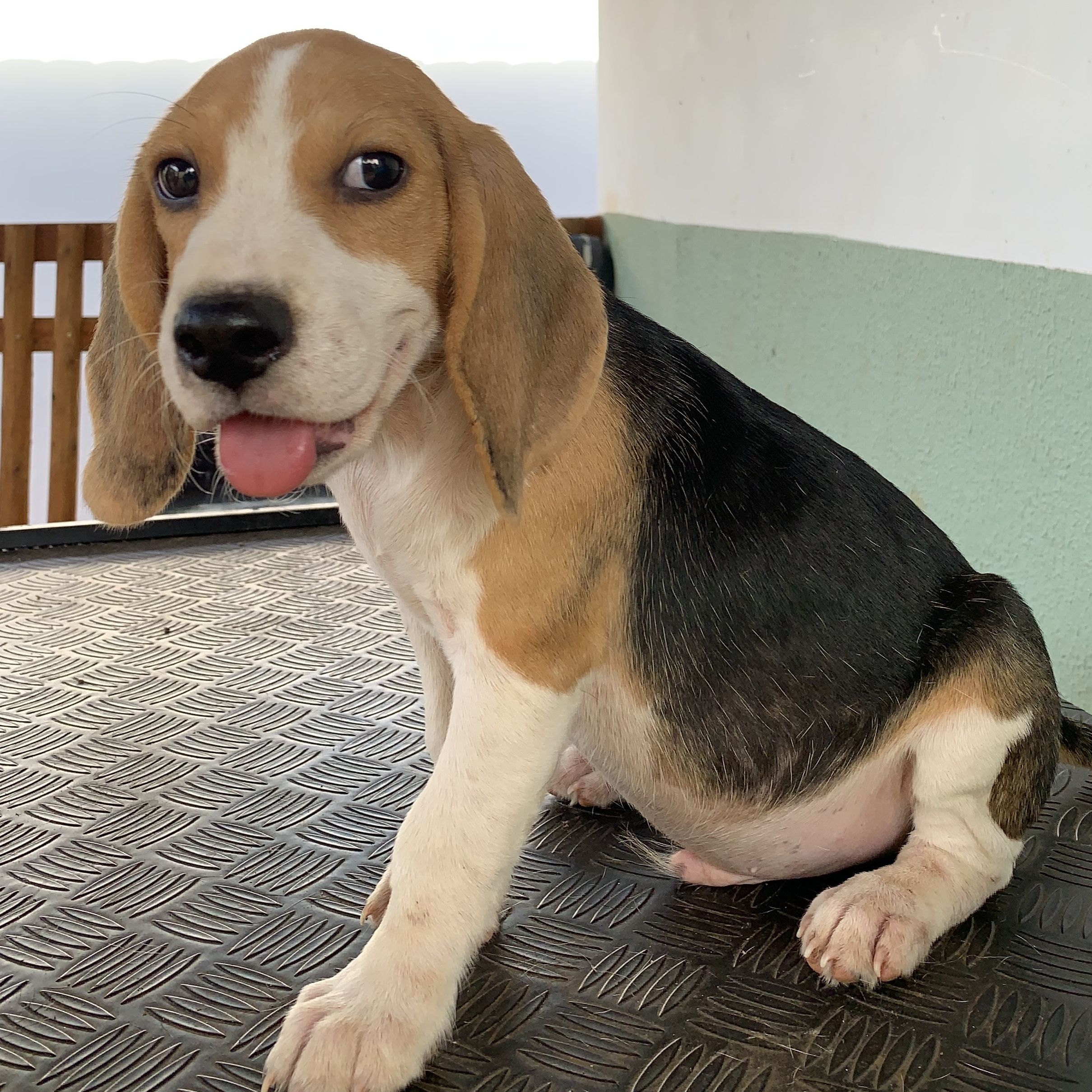 Oliver Jaqueline Saraiva Menezes 