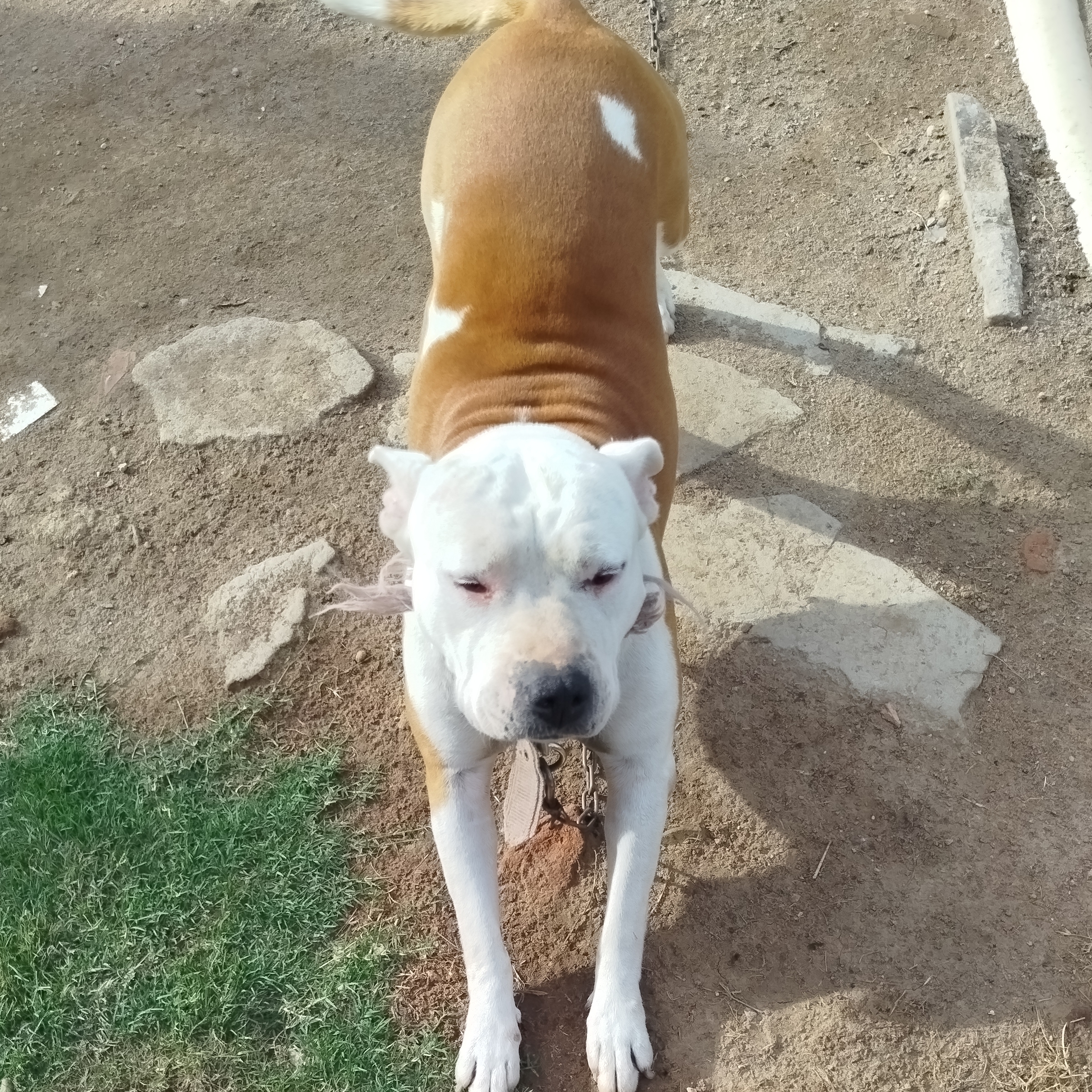 Kiara Luciana Wagner domenech 