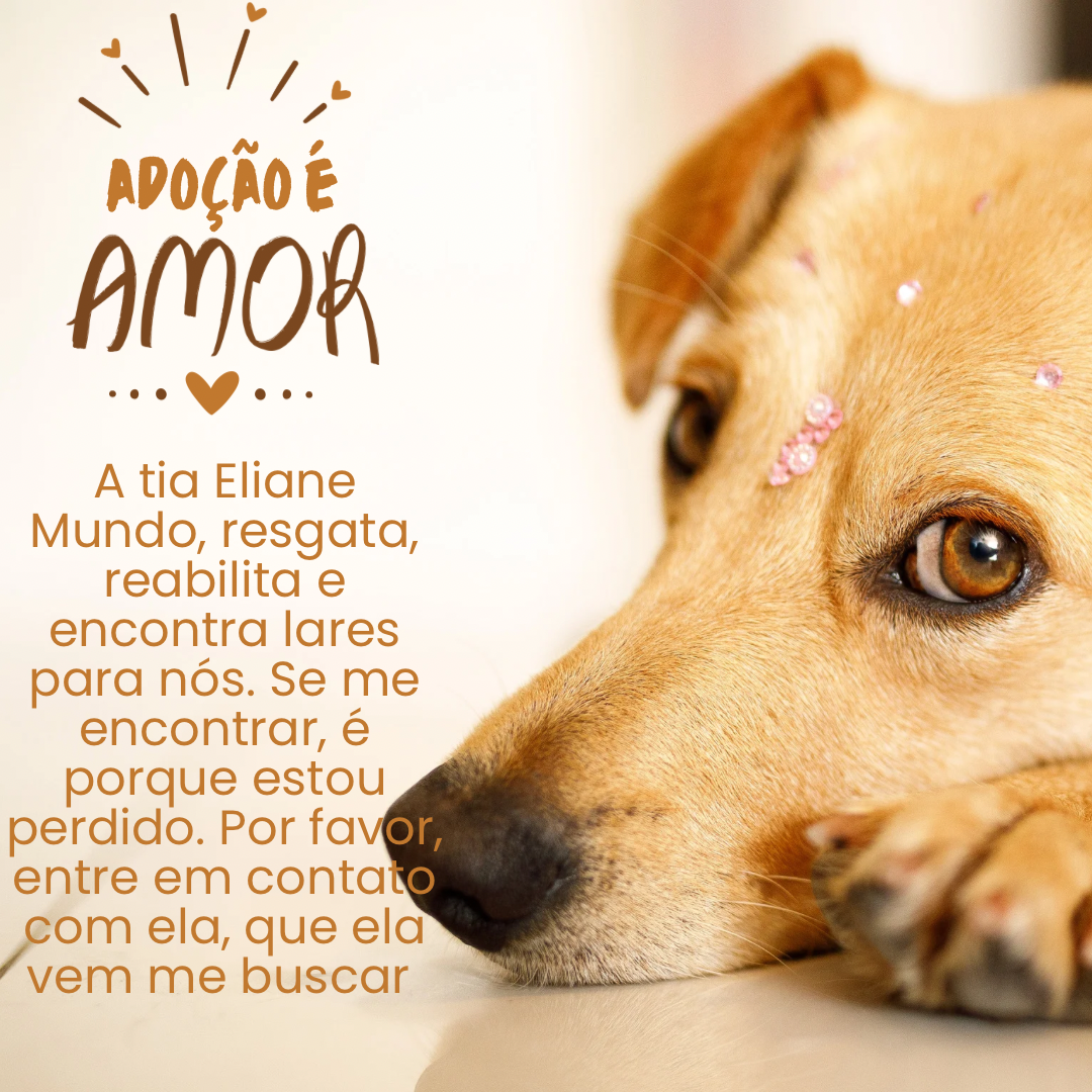Adotado  Eliane Mundo